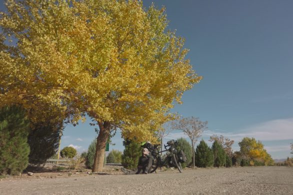Day 163 - Autumn in the Desert